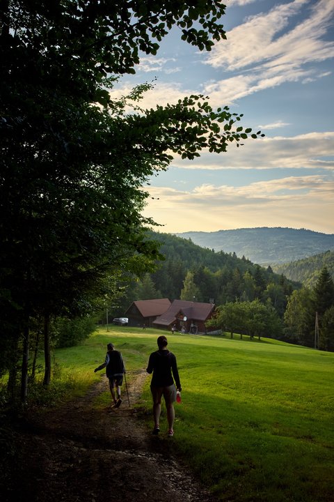 Wracając